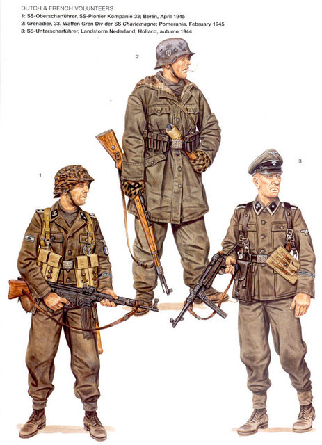 Uniformes Waffen SS 1944/45 Osp36310