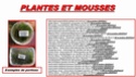 Catappa, moss, granulés, alimentations vivantes,... Plante11