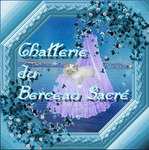Commande de logo... Crea_o10