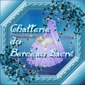 La Chatterie du Berceau Sacr Crea_o10