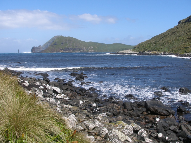 [Nouvelle-Zélande] - Ile Jacquemart - Le point le plus Austral de Nouvelle-Zélande  Colin-10