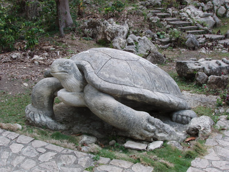 Zoológico de Piedra - Guantanamo - Cuba Gnt30311