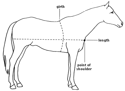 méthodes pour estimer le poids de notre cheval  310