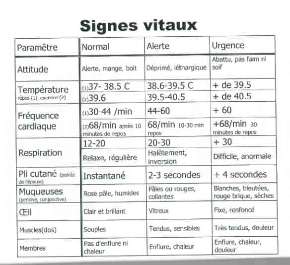 Signes vitaux du cheval Signes10