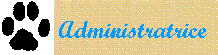Dominante des Panthera Dominante des Panthera