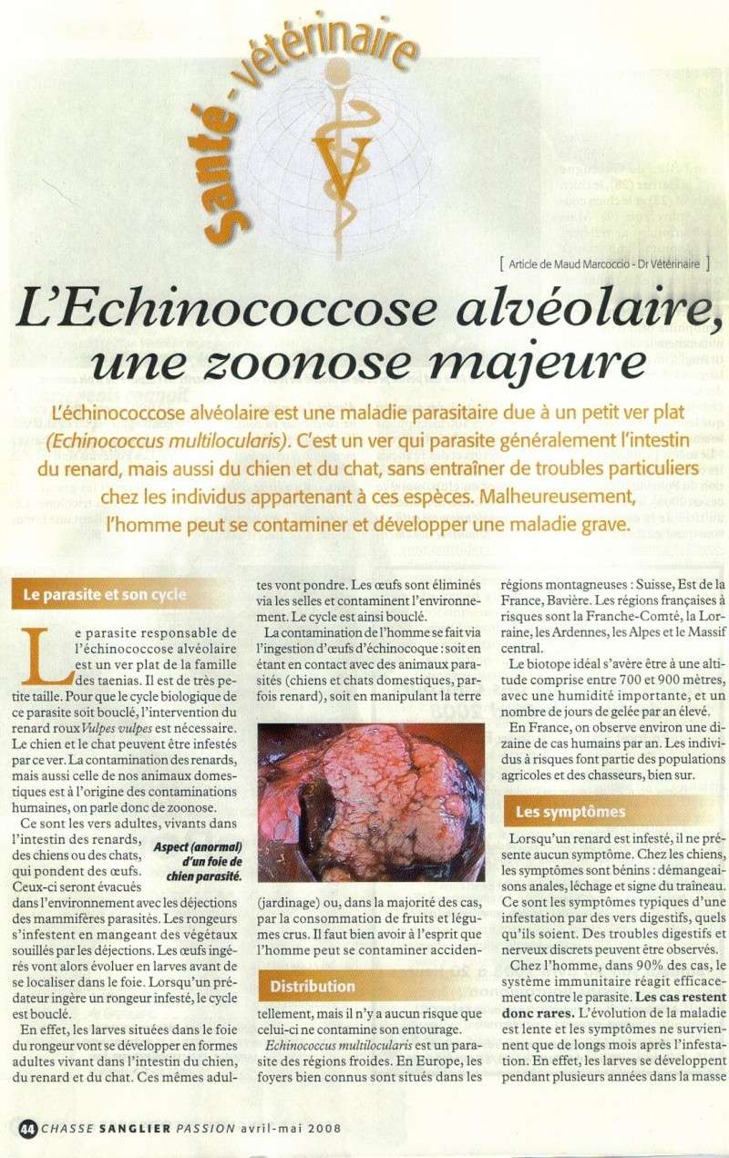 excellent article,  lire absolument Echino10