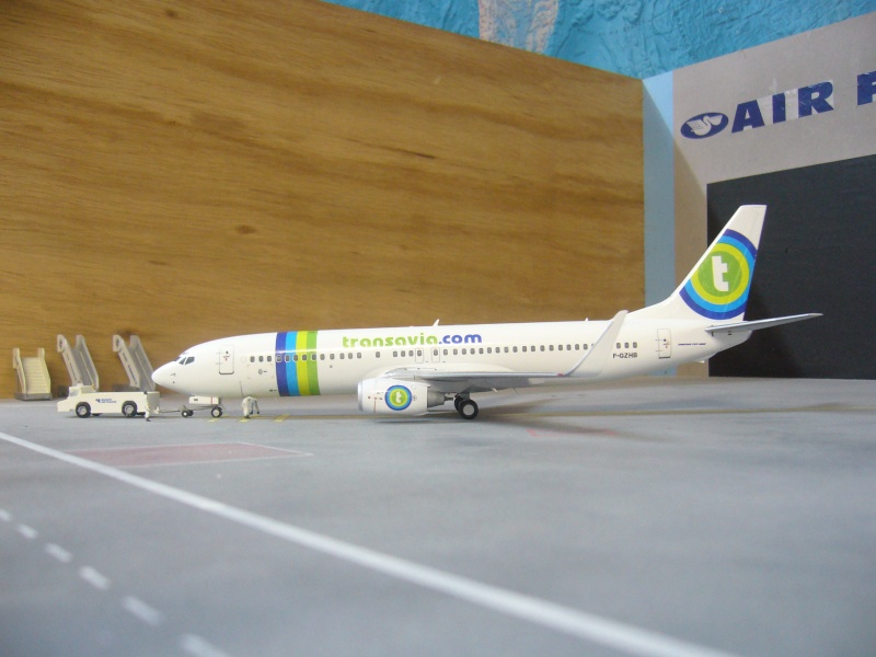 B737-8GJ TRANSAVIA AIRLINES REVELL F-DECALS compagnies aeriennes françaises d'hier et d'aujourd'hui pn44 P1060425