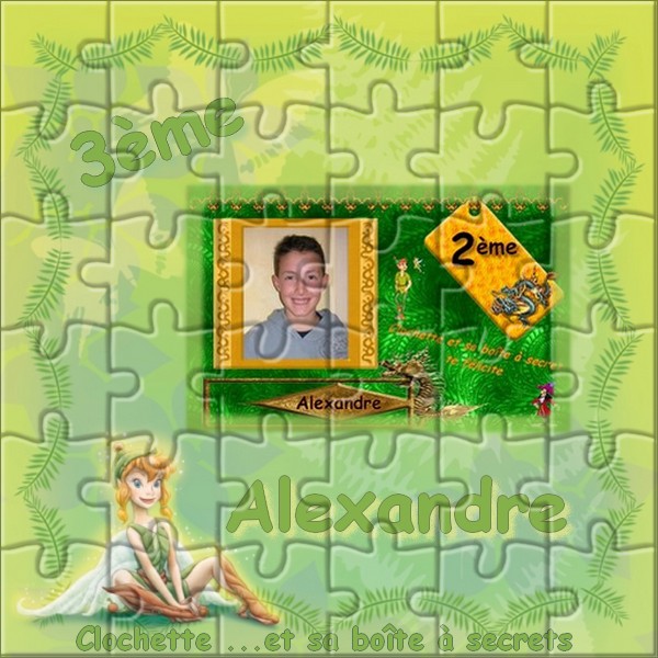 concours puzzle Alexan10