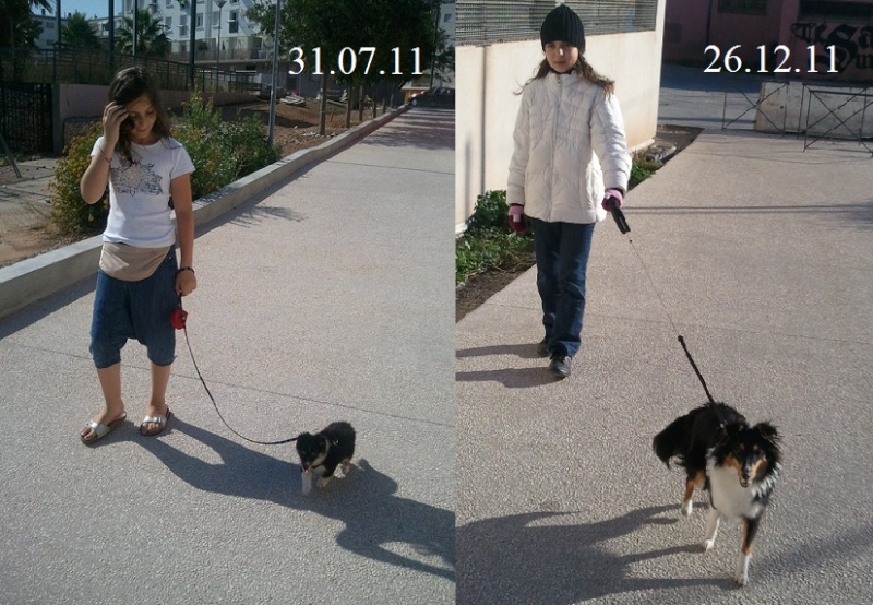 Nos chiens, avant et après ! Grandi10