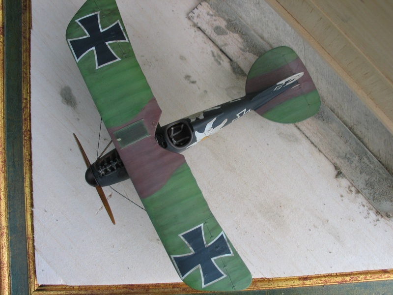 (PAT.LATORRE) ALBATROS D.V. (REVELL AU 1/48ème) - Page 5 06610