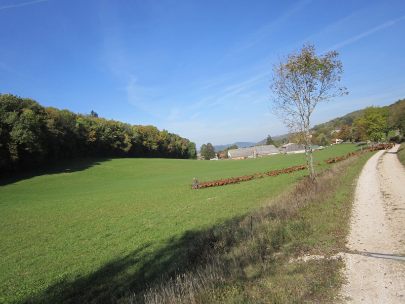 Une sortie en amis et famille dans le bugey Img_1428