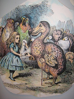 Les dodo aussi aiment la littérature Dodo2-10