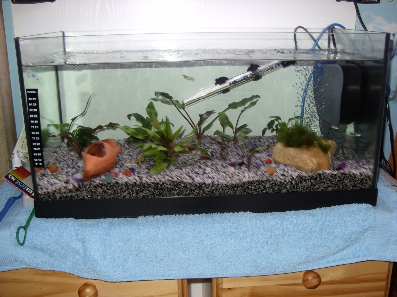 mon aquarium Sn850211