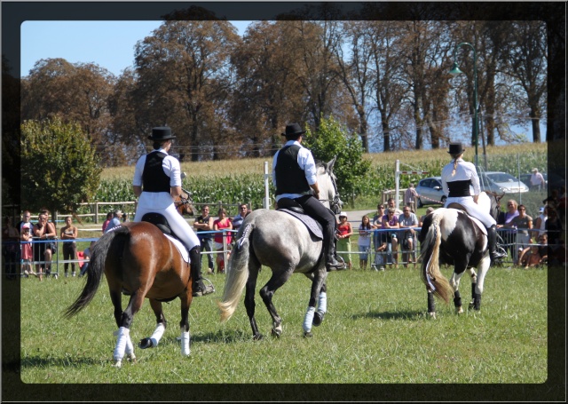 20 ANS de notre assoc "les amis du cheval" 1828_10