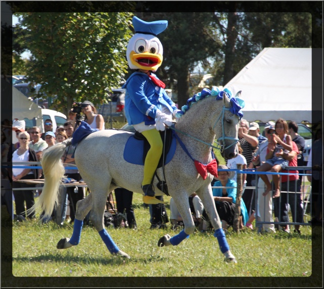 20 ANS de notre assoc "les amis du cheval" 1853_10