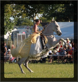 20 ANS de notre assoc "les amis du cheval" 2305_11