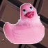No new posts No new posts