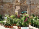 Fête des Plantes à l'Abbaye de Fontfroide Dsc01721