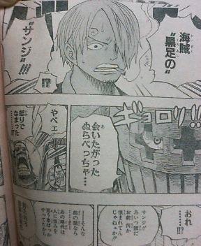 One Piece 494 310