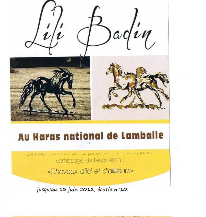 Lili Badin au hars de Lamballe 001_co10