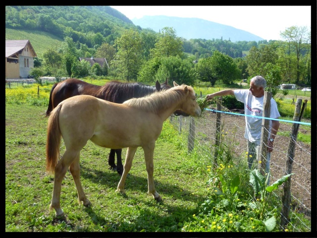 Les poulains du forum - Page 2 43910