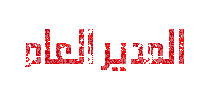 المدير العام المدير العام