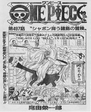 Raw One Piece 497 0113