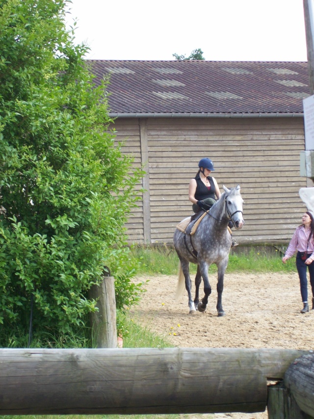 Quand une Reine amazone rencontre une Licorne..... 100_0311