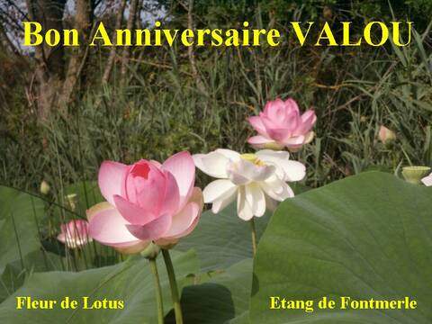 Joyeux Anniversaire Valou Page 2