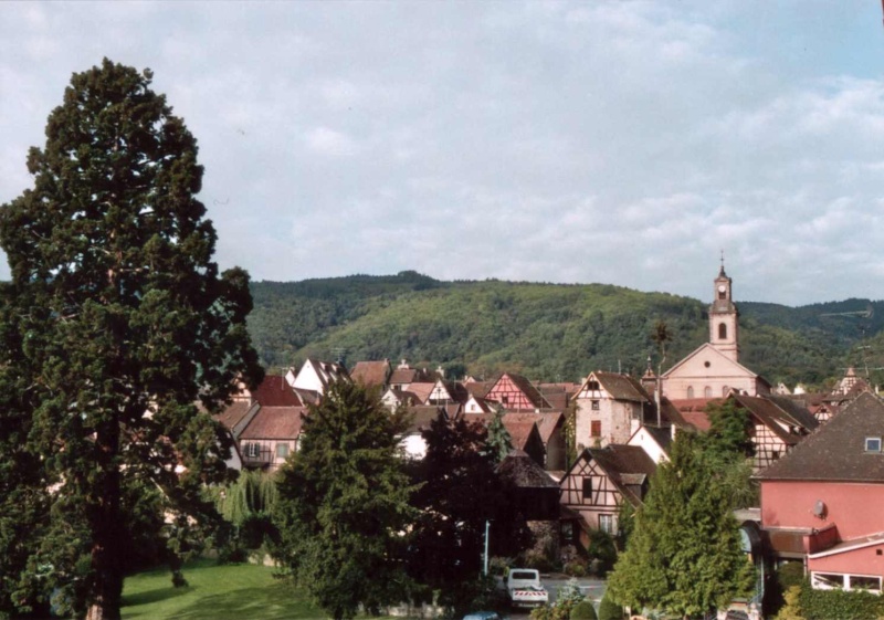 Alsace Colmar Rikewihr Rique10