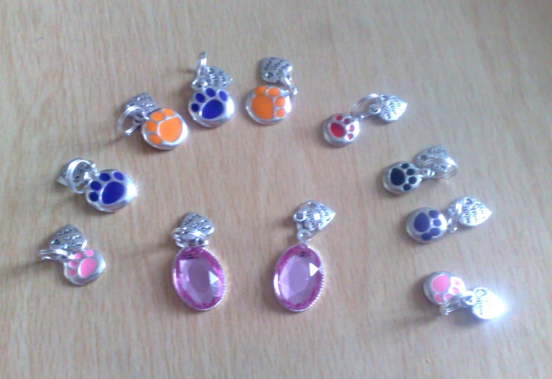 Dog Collar Charms 12052011