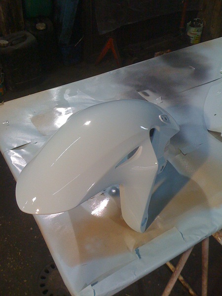 Peinture didaii 600 hornet Img_1024