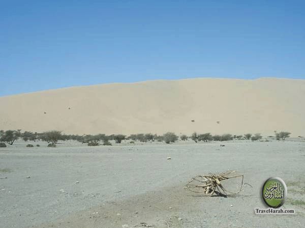 Pictures of Place where Ghazwa-e-Badar was fought.. Downlo12