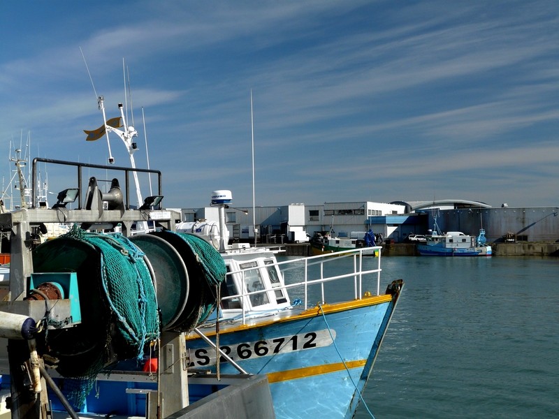 Port de pêche Ami_du10