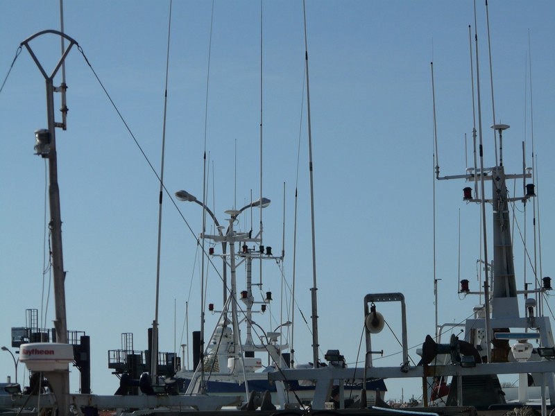 Port de pêche Antenn10