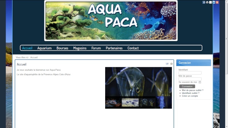 LE SITE WEB : AQUA PACA ! Aqua-p13