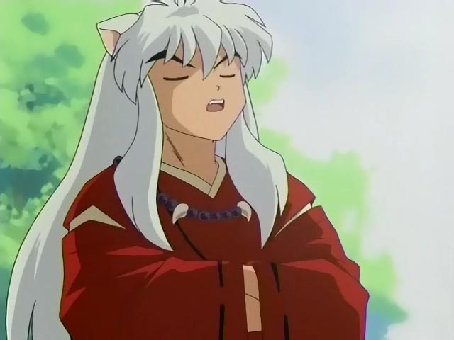 imagenes de inuyasha Inu25110