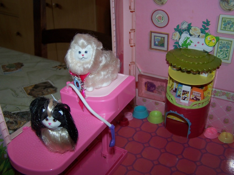 Barbies et vétérinaire Barbie d'hectorbarbossa1980 100_4323