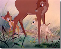 Bambi iel Bambi210