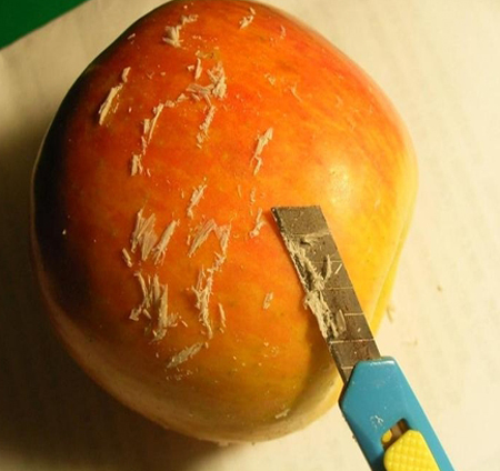 لا تاكلوا قشر التفاح .. الصورة توضح لكم لماذا ! 18600210