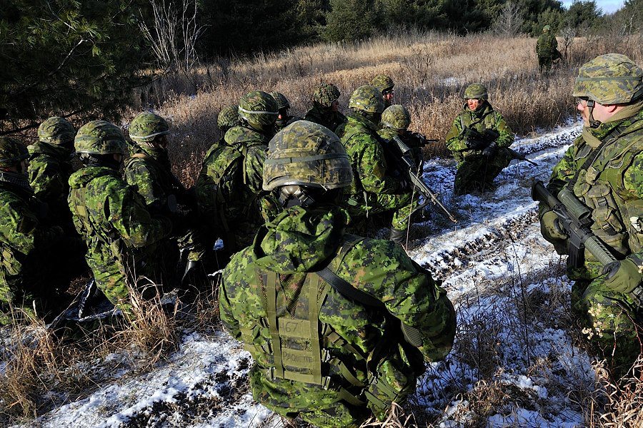 Armée canadienne/Canadian Armed Forces - Page 11 29995310