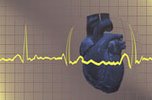 حقائق جديدة تؤكد أن القلب يفكر ويعقل 16021610