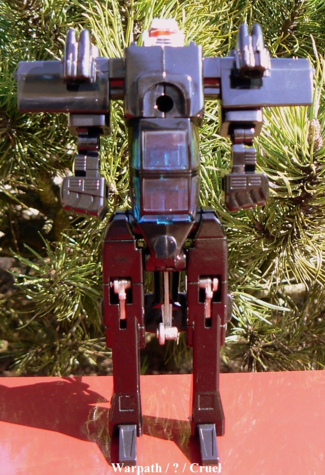 En mode robot Dx-0810