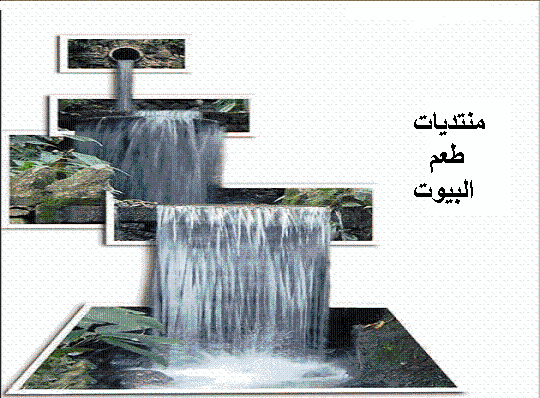 صور خارج الإطار. 84658710