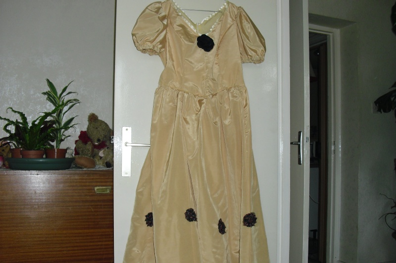 robe de morgane Cimg0013