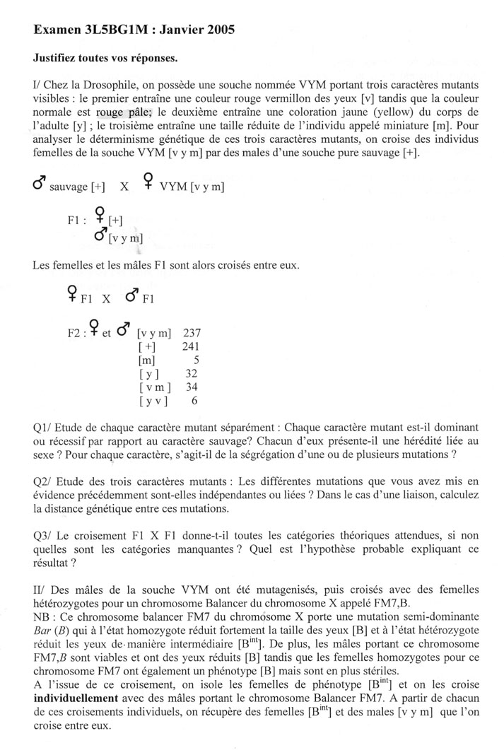  [sujet] Génétique – Licence – Janvier 2005 L3_gen10