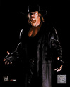 Undertaker 113