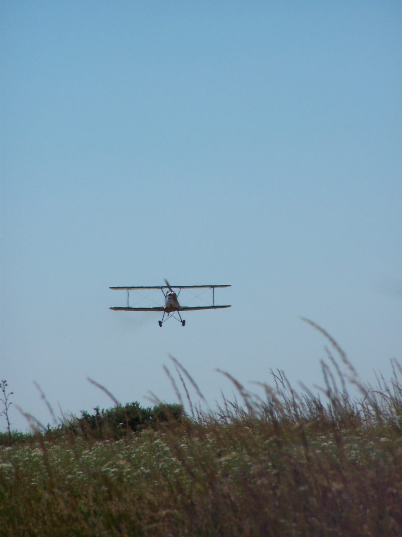 Aviation Champêtre 100_2116