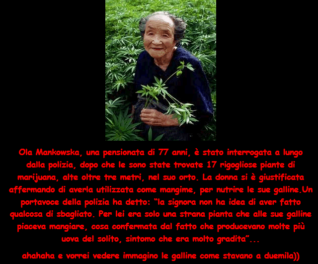 The Other news - Pagina 2 Nonna_10