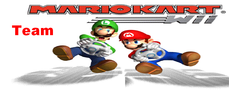Team Mario Kart Wii